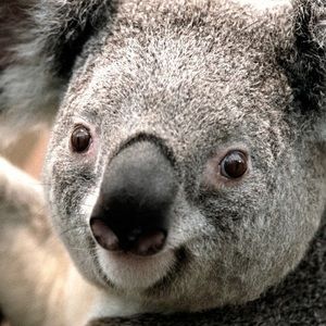 Meet your Posher, Kaitlynn